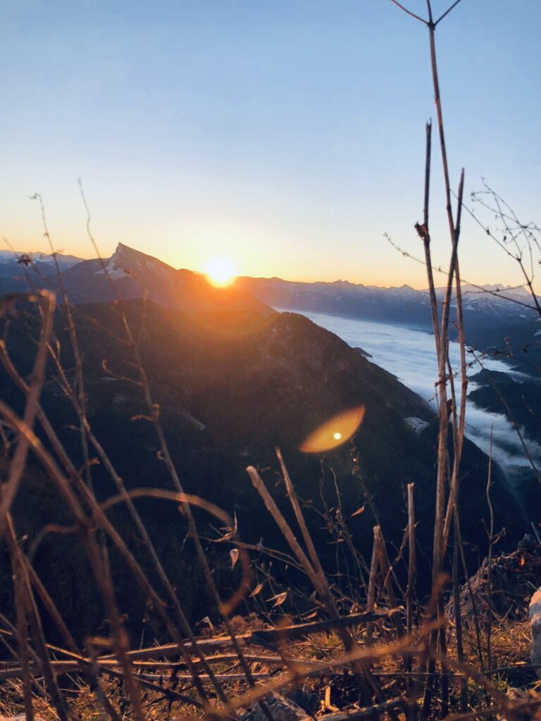 30dc9c1e-4987-47e1-8a1e-0f61c84fccba